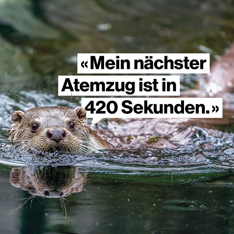 Tierpark goldau WerbekampagneWerbung für den Natur- und Tierpark Goldau