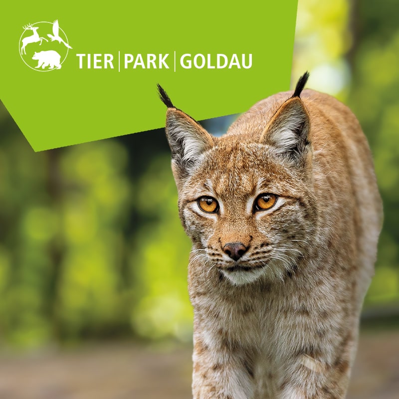 branding tierpark goldauBranding für den Natur- und Tierpark Goldau